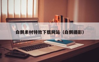 湛江白鹅素材特效下载网站（白鹅摄影）